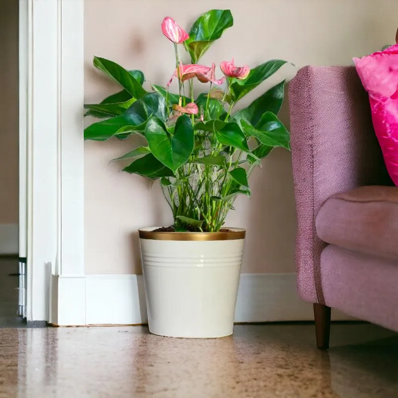 Elno Dola Planter (White) - Set Of Three media 2