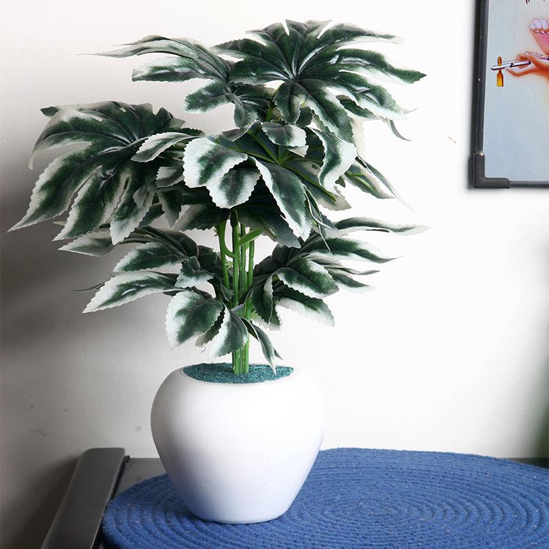 Faux Spider Web Plant With Black Plastic Pot