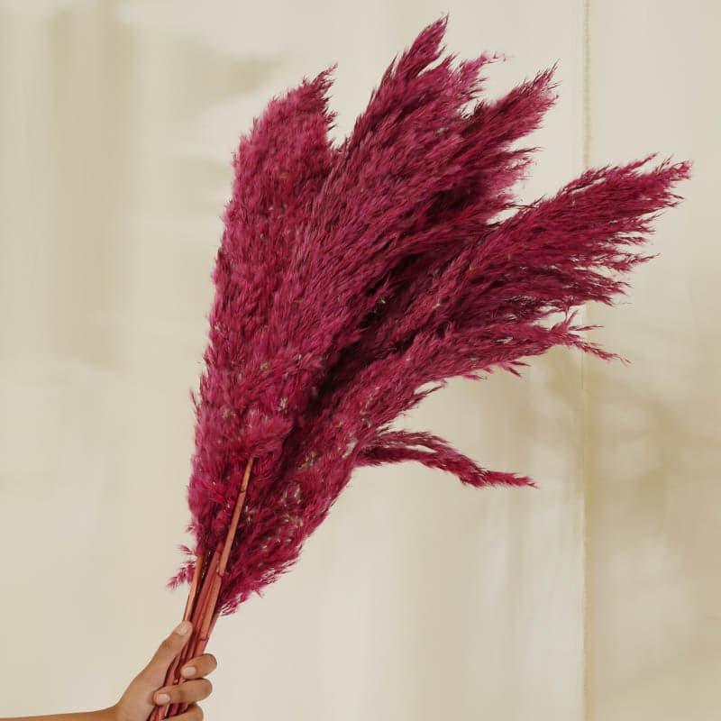 Puffy Pampas Stems (2.62 ft) - Pink media 4