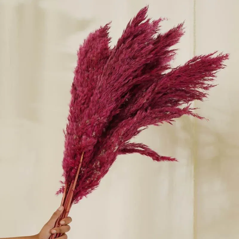 Puffy Pampas Stems (2.62 ft) - Pink media 4