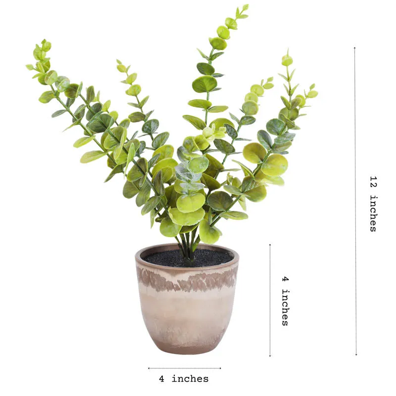 Artificial Eucalyptus Branch With Black Plastic Pot (Set Of Two) - 1 Feet media 5