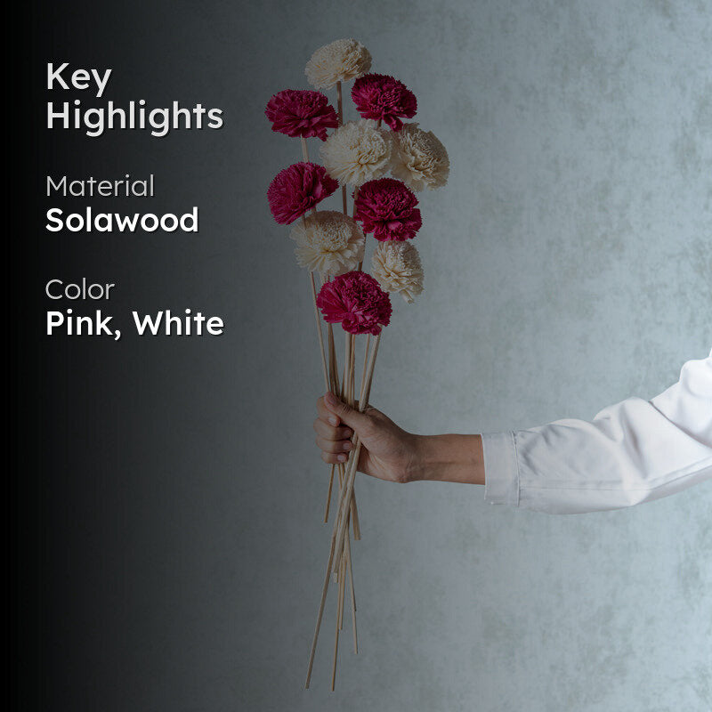 Berta Carnation Sola Flower Stick (Pink & White) - Set Of Ten media 2