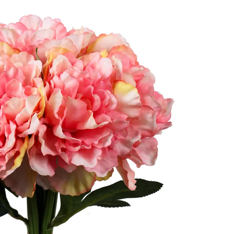 Close-up view of layered pink peony petals and green leaves