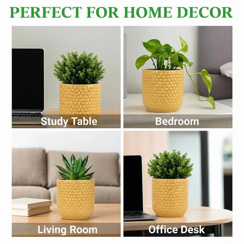 Nordic Bubble Ceramic Planter (Yellow) - Set of Two media 7