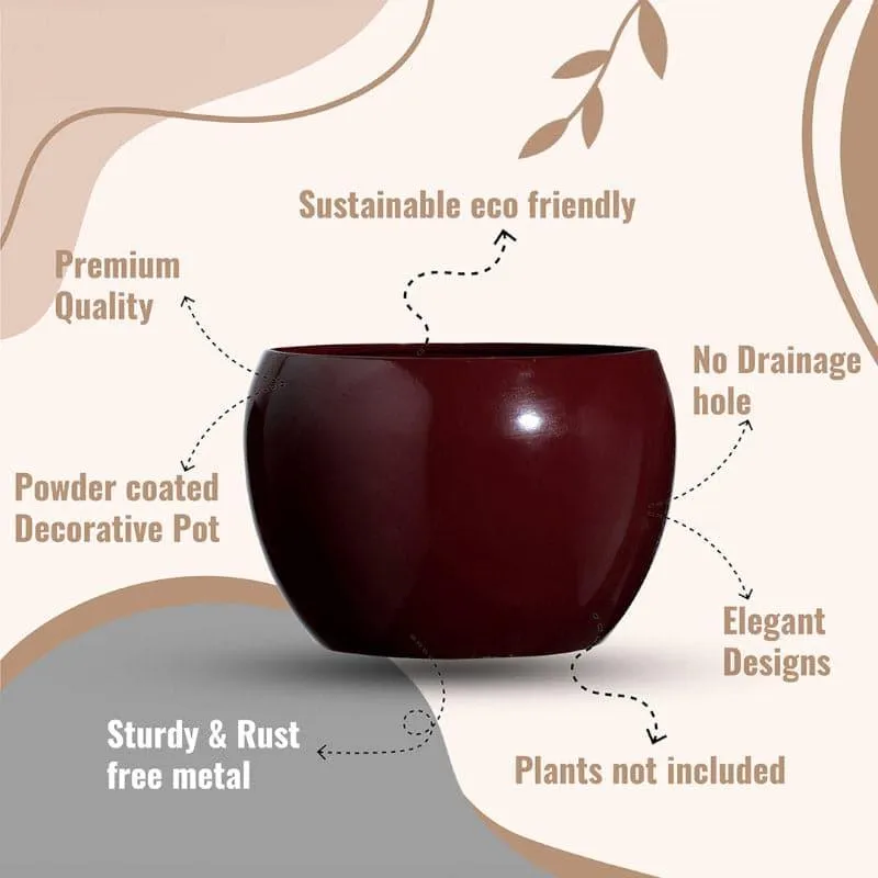 Marsha Miro Planter (Brown) - Set Of Two media 6