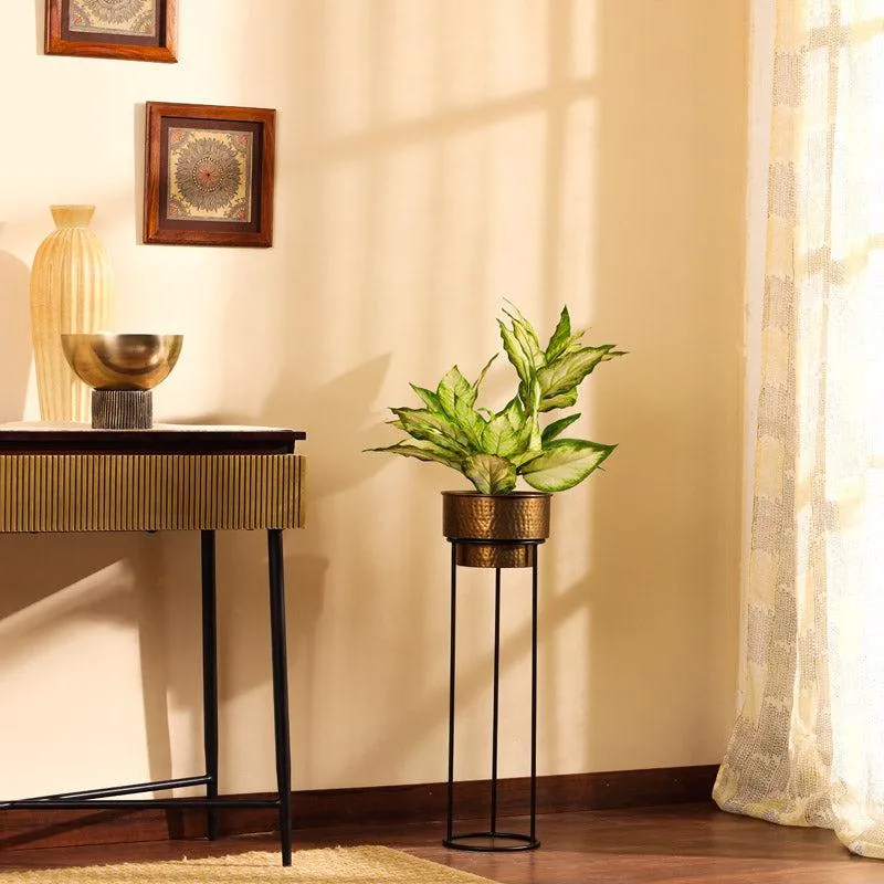Artificial Realistic Variegated Dieffenbachia With Black Plastic Pot - Green media 3