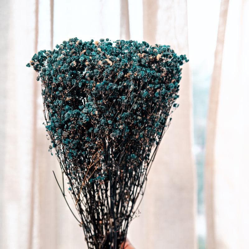 Dried Flowers & Leaves
