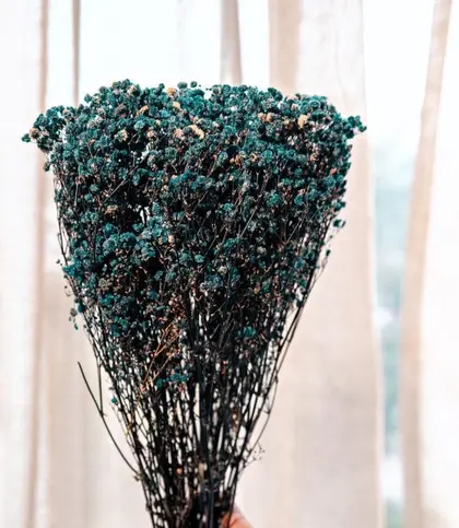 Dried Flowers & Leaves