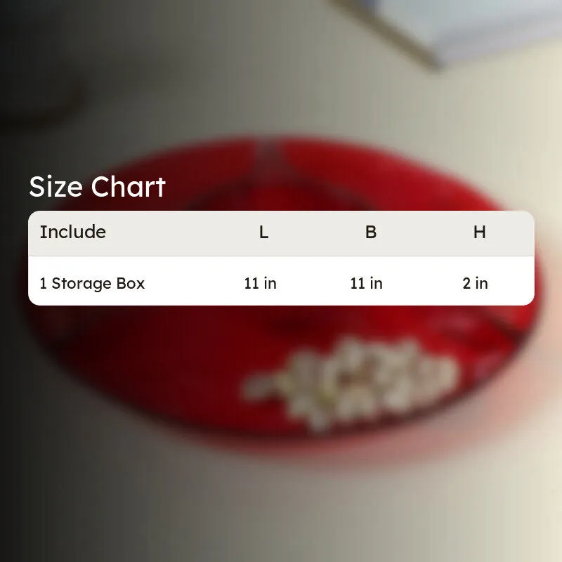 Birva Storage Box media 6