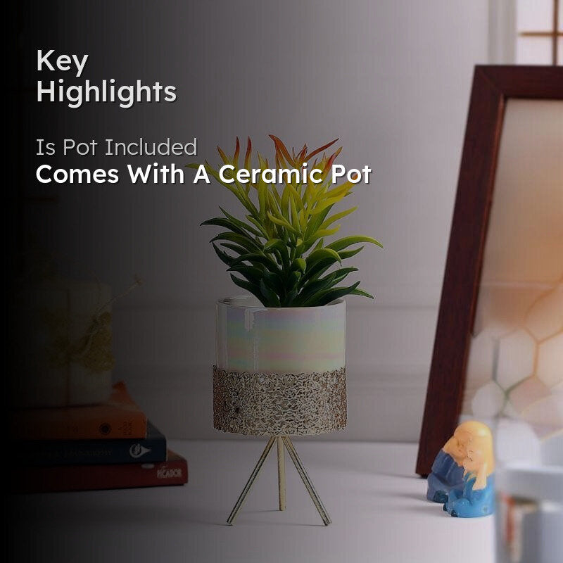 Faux Senecio In Ceramic Pot With Tripod - 25.5 cms media 2