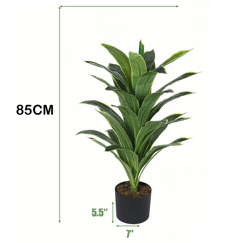 Danae Artificial Dracaena Plant With Black Plastic Pot - 2.8 Feet media 6