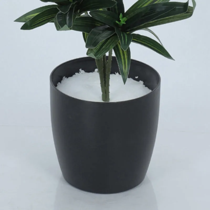 Edena Artificial Dracaena Plant With Black Plastic Pot - 1.3 Feet media 3