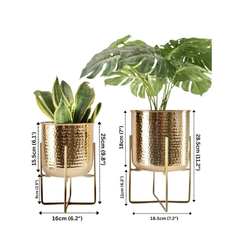 Baela Metal Planter - Set Of Two media 6