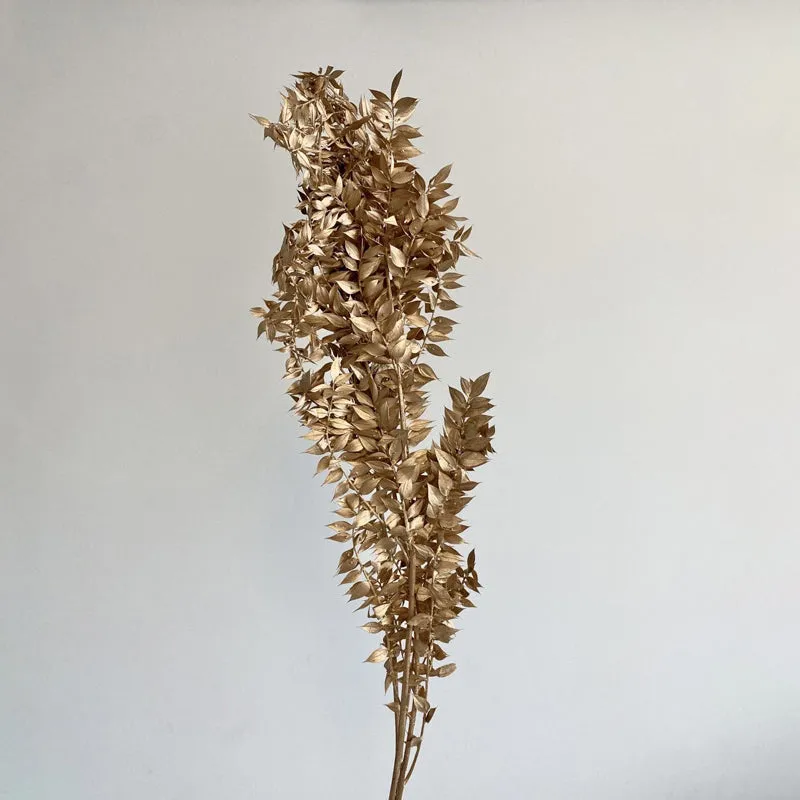 Dried Ruscus Bunch (Gold) - Set Of Three media 7