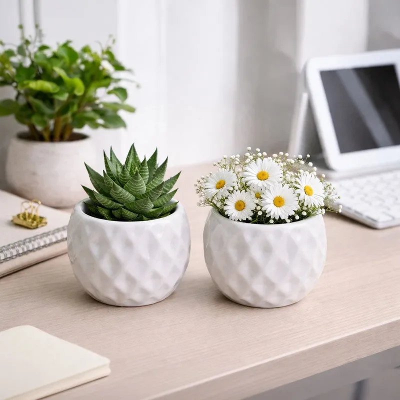 Moonstone Textured Ceramic Planter - Set of Two media 3