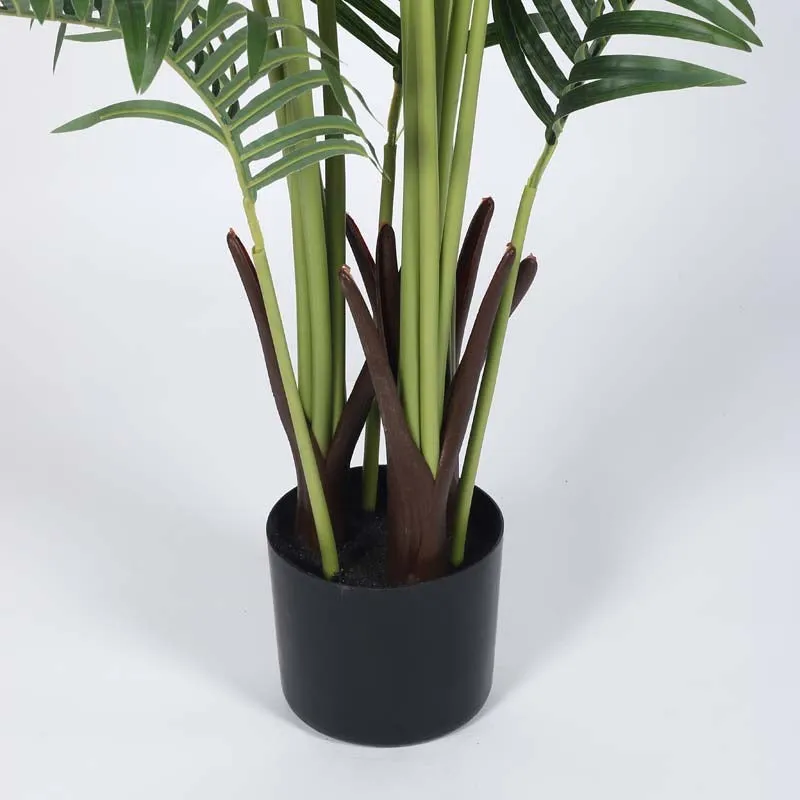 Leafmint Areca Plam Plant With Black Fiber Pot - 6.6 Feet media 6
