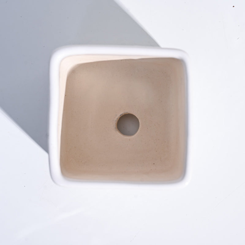 Ugaoo Square White Ceramic Pot media 5