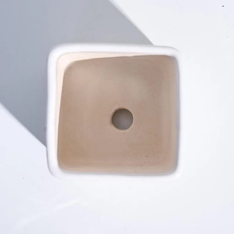Ugaoo Square White Ceramic Pot media 5