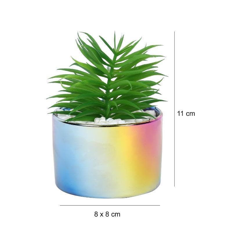 Faux Agave In Ombre Pot - 12 cms media 4