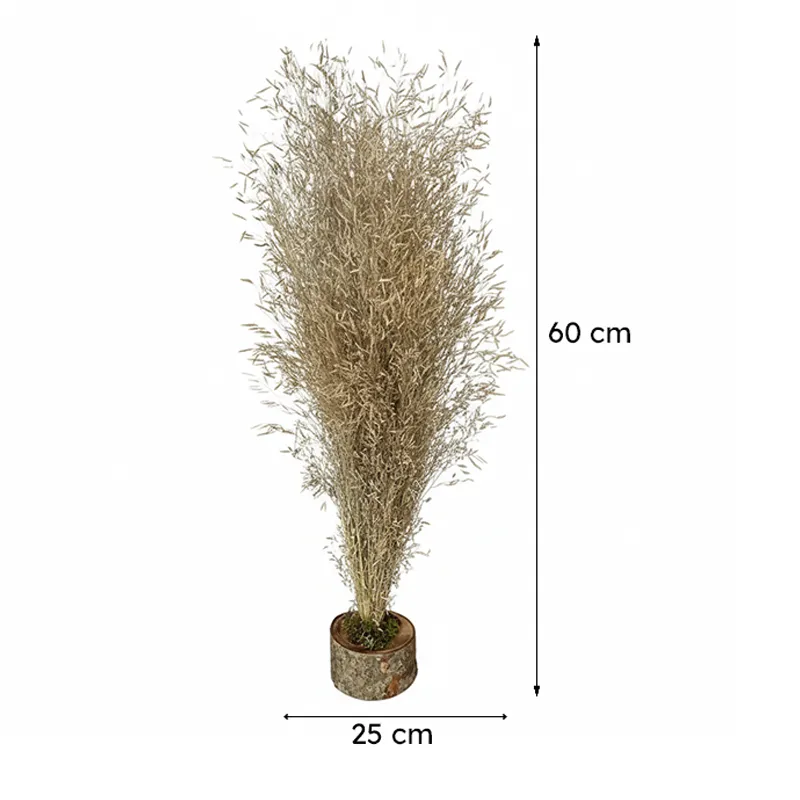 Field Fade Dried Grass - Beige media 7
