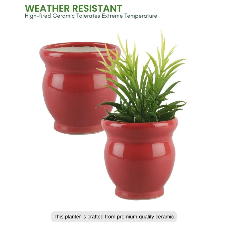 VelourVista Pots Red - Set Of Two media 6