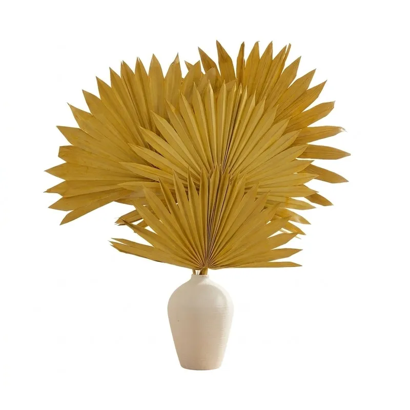 (Yellow) Sun Palm Spear (20 cms) - Set Of Five Stems media 4