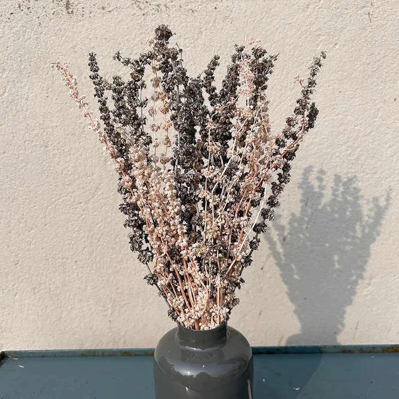 Prairie Pulse Dried Bunch media 4