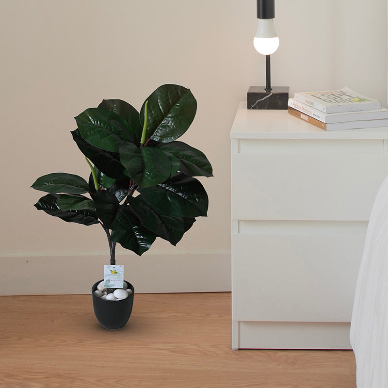 Artificial Everlasting Fiddle Fig Plant With Pot - 71 cm (2.3 ft) media 2