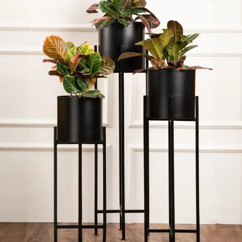 Cyra Black Metal Planters - Set Of Three media 1