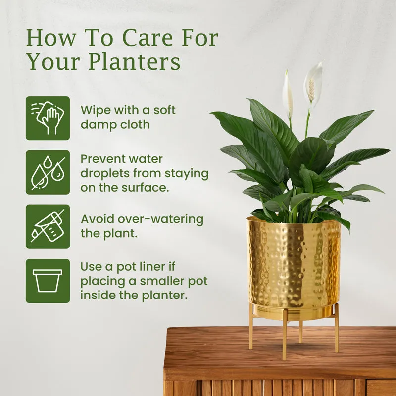Vida Ember Golden Planter with Stand media 3
