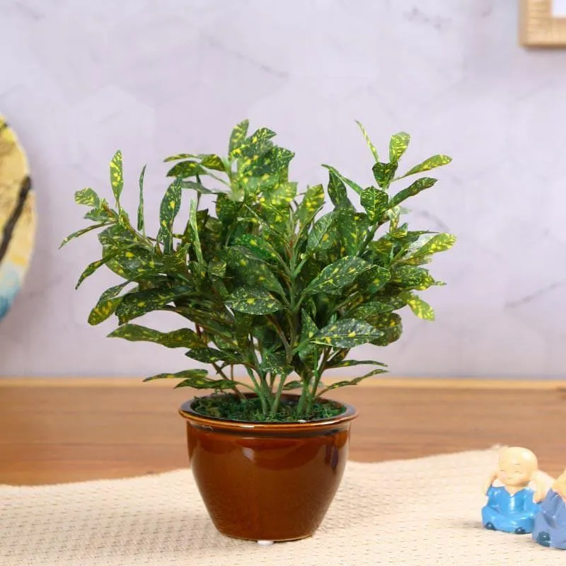 Faux Croton Bonsai In Ceramic Pot (28 cms) - Green media 1