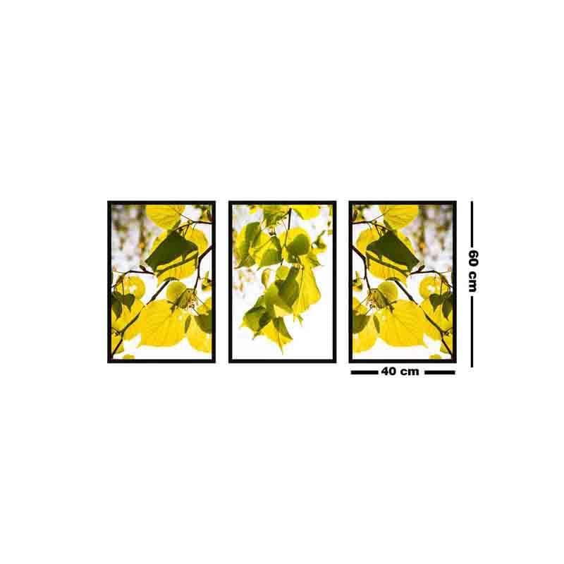 Sunkissed Wall Art - Set Of Three media 6