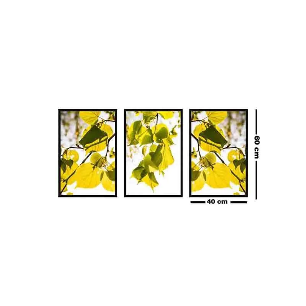 Three framed botanical leaf panels on a white background with size markers