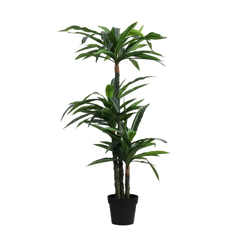 Artificial Variegated Dracaena Plant With Black Plastic Pot 5 ft media 3