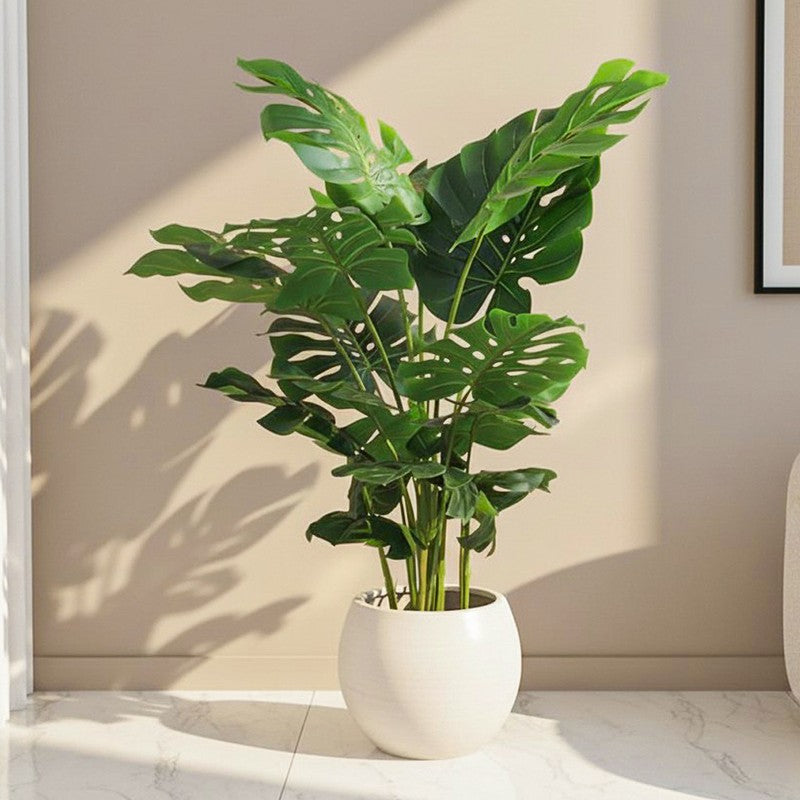 Neutra Artificial Monstera With Black Plastic Pot - 4 Feet