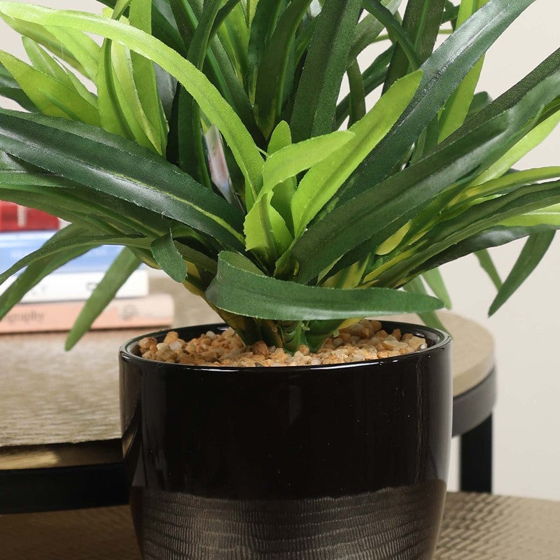 Artificial Green Yucca Bush Bonsai Plant With Ceramic Pot - 0.8 Feet media 3