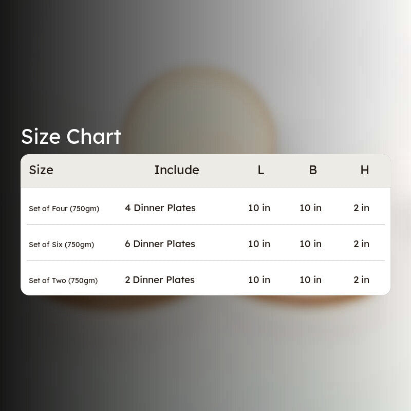 Galenta Handmade Dinner Plate media 4