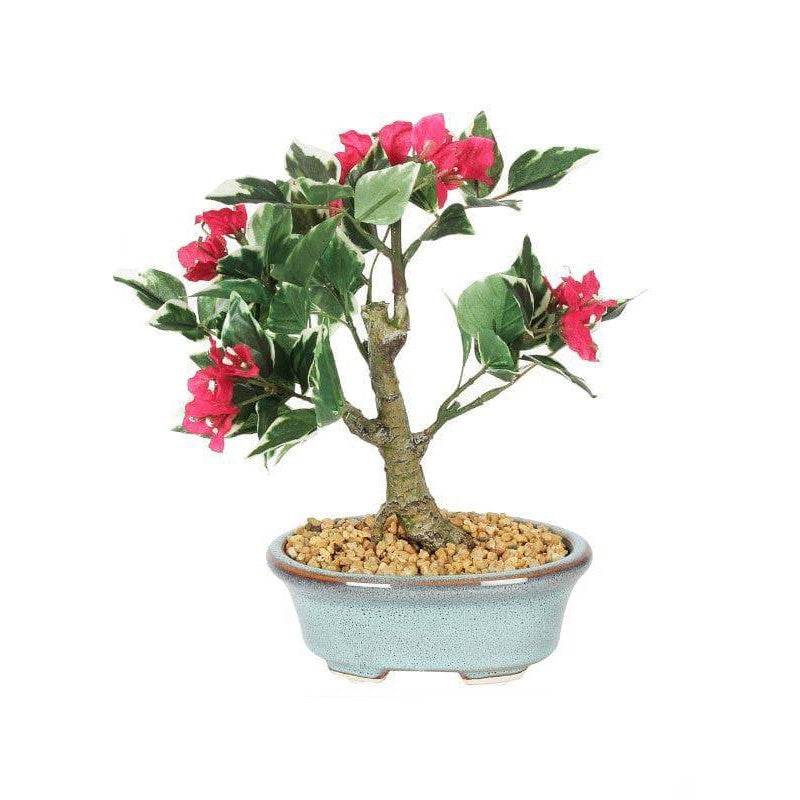 Faux Pink Bougainvillea Bonsai (24 cms) - Big image 3