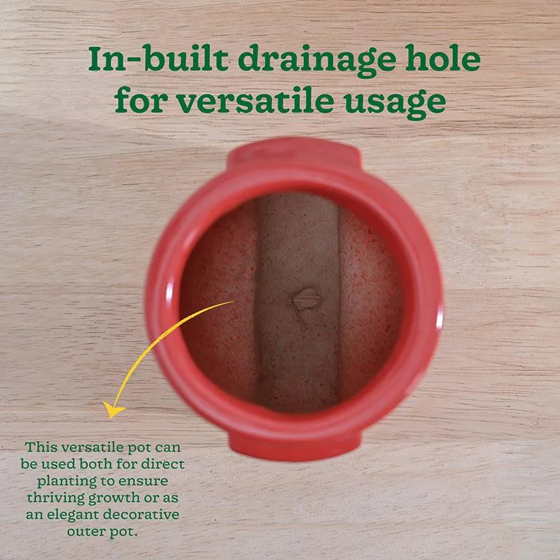 Ugaoo Minimalica Ceramic Planter - Red media 7