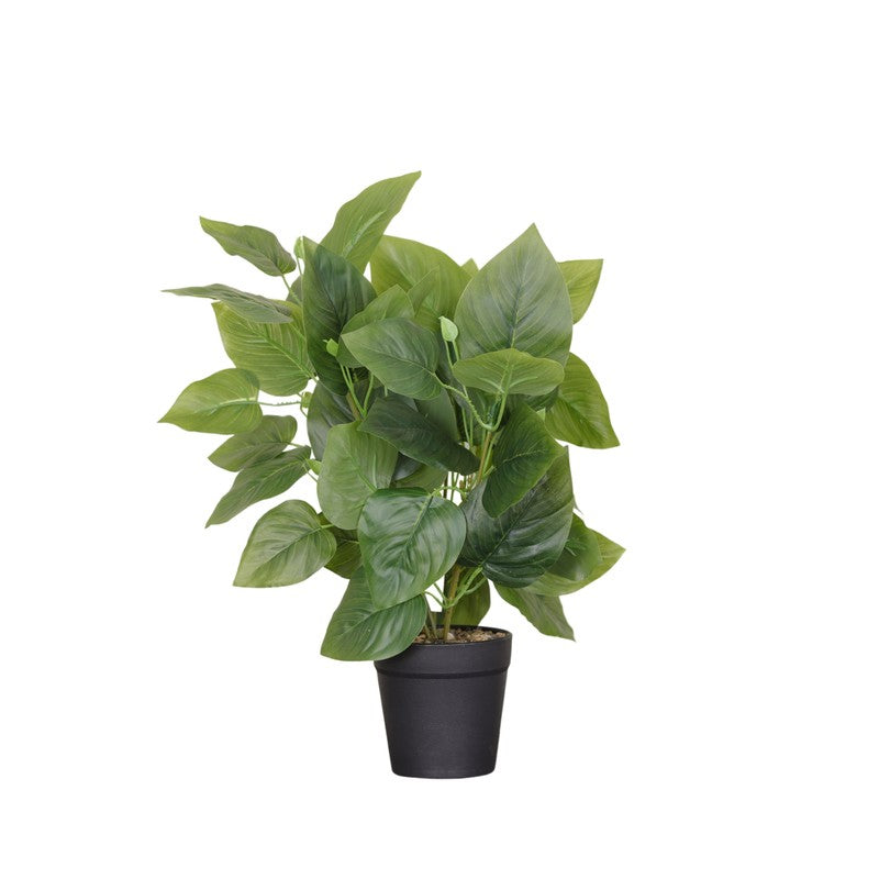 Artificial Pothos Plant With Black Fiber Pot (Green) - 1 Feet media 4