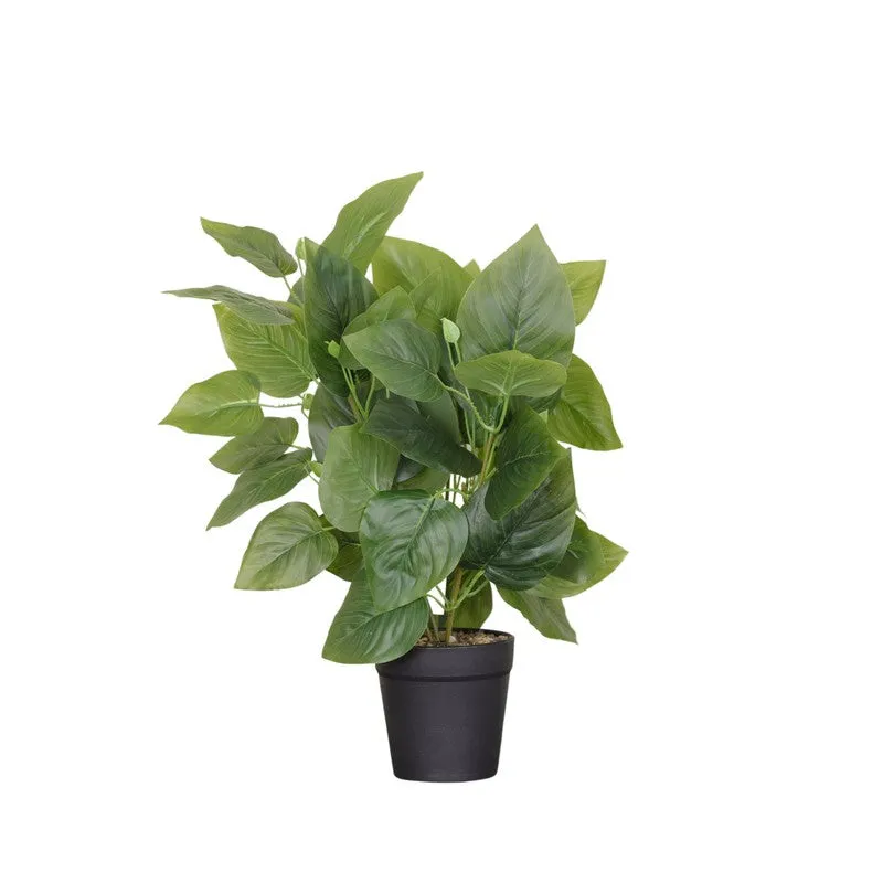 Artificial Pothos Plant With Black Fiber Pot (Green) - 1 Feet media 4