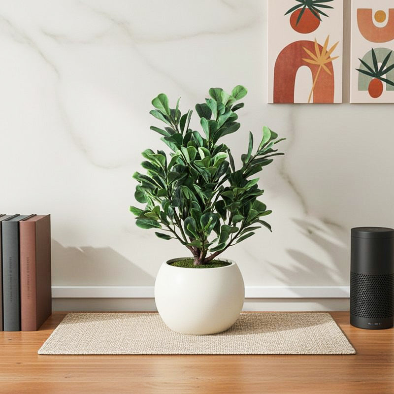 Botanic Aura Artificial Plant With Black Plastic Pot
