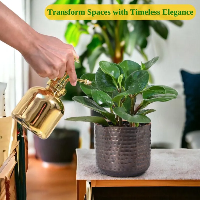 Green houseplant displayed in a textured copper-toned planter