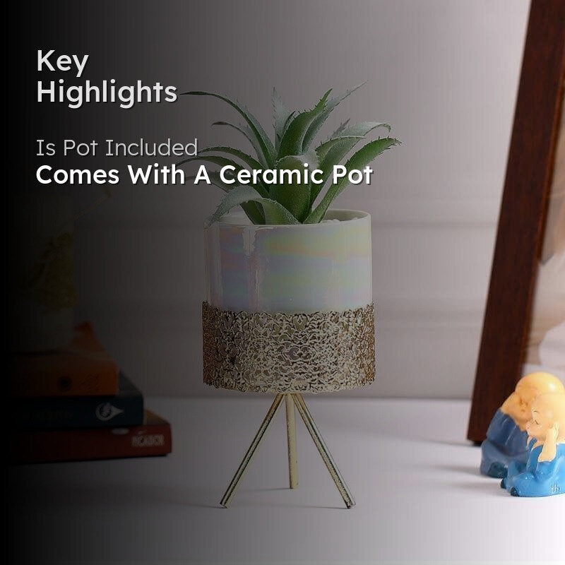 Faux Agave Tequilana In Ceramic Pot With Tripod - 24 cms media 2