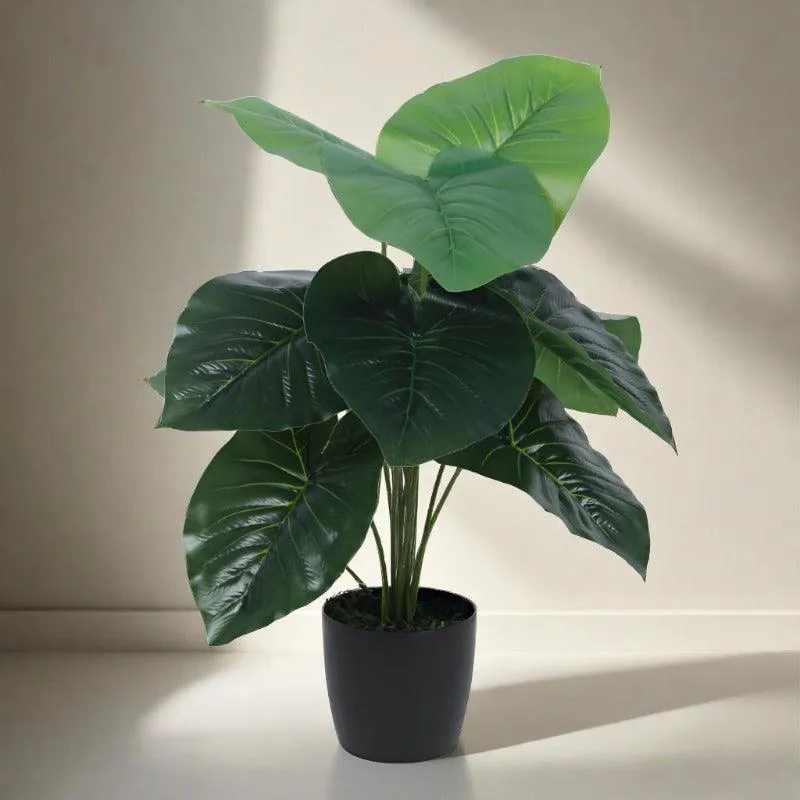 Faux Rubber Silk Plant With Black Plastic Pot - 55 cms media 3