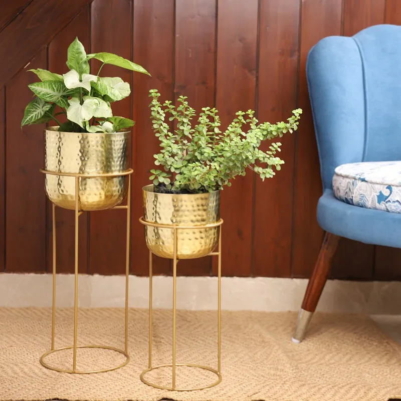 Milara Allure Hammered Planter (Gold) - Set Of Two media 6