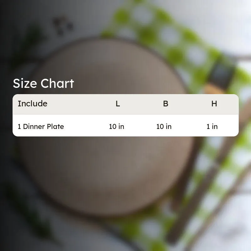 ServeCore Ceramic Dinner Plate media 8