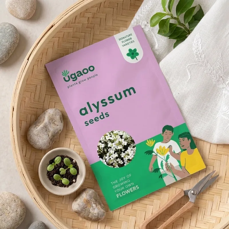 Ugaoo Alyssum Seeds (200 Seeds) media 1