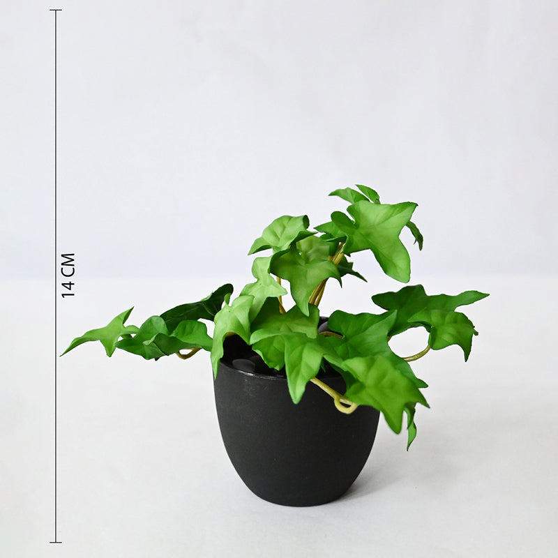 Ivella Artificial Mini Ivy Plant With Basic Black Plastic Pot - 14 cm media 7