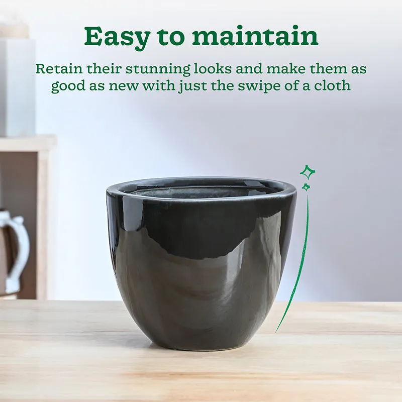 Ugaoo Cantata Ceramic Planter - Black media 4